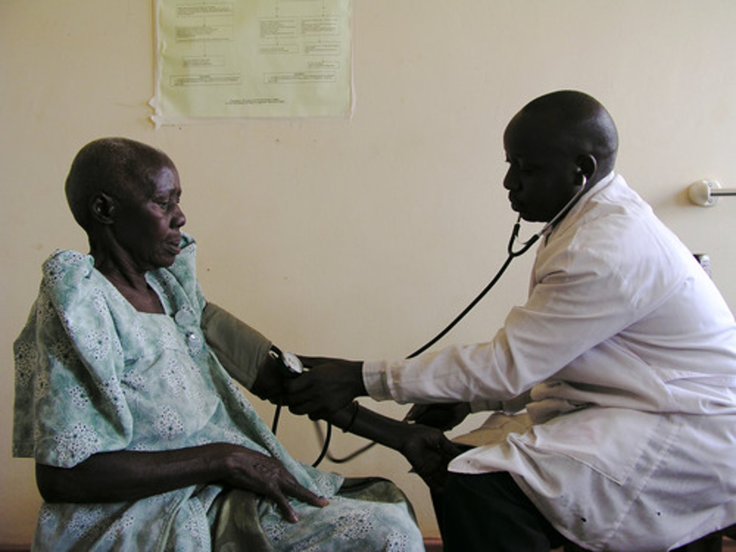 <p>to examine, to check</p>