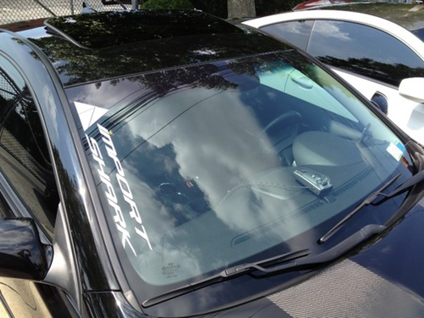 <p>windshield</p>