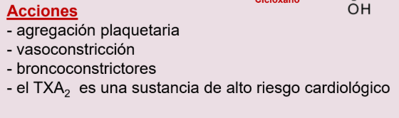 <p>Sintetizados principalmente por las plaquetas</p>