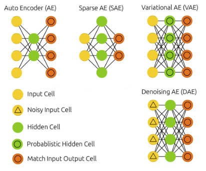 <ol><li><p>Basic autoencoders</p></li><li><p>Denoising autoencoders</p></li><li><p>Sparse autoencoders</p></li><li><p>Variational autoencoders (VAEs)</p></li><li><p>Convolutional autoencoders (CAEs)</p></li><li><p>Contractive autoencoders</p></li><li><p>Deep autoencoders</p></li></ol><p>Key Differences:</p><ul><li><p><strong>Purpose and Application</strong>: Each type of autoencoder is designed to handle specific tasks such as denoising, generating new data, or robust feature learning.</p></li><li><p><strong>Architecture</strong>: While the basic structure (encoder, latent space, decoder) remains similar, the specifics (e.g., layer type, noise addition, regularization) vary to meet the goals.</p></li><li><p><strong>Constraints and Regularizations</strong>: Types like sparse and contractive autoencoders introduce additional constraints to learn more meaningful or robust representations.</p></li><li><p><strong>Probabilistic Approach</strong>: VAEs introduce a probabilistic element to the latent space, enabling generative capabilities.</p></li><li><p><strong>Data Type</strong>: Convolutional autoencoders are specifically tailored for image data due to their convolutional layers.</p></li></ul><p></p>
