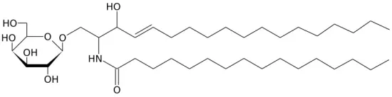 <p>Mice and humans who have Gaucher disease have abnormally high concentrations of cerebrosides in their stratum corneum. Do you expect cutaneous water loss to be higher or lower in these individuals? Make an argument for both and then state what actually happens</p>