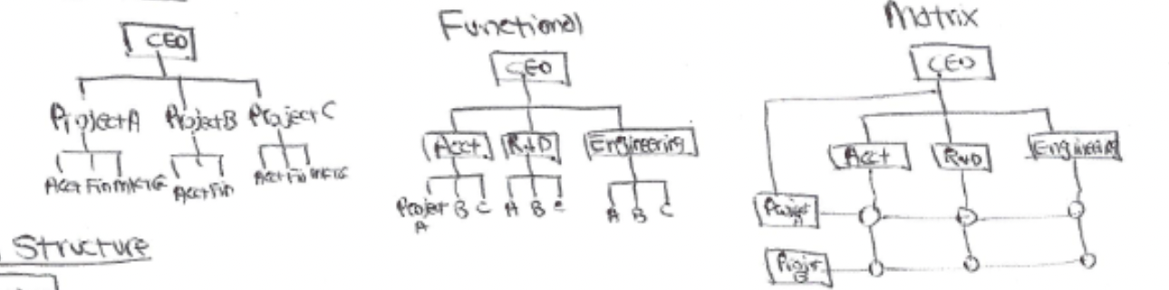 <p>Pure project, Functional, and Matrix</p>