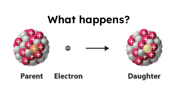 <p>Too many protons in the nucleus, so a proton captures an electron. This changes the proton to a neutron. </p><p>2 reactants —> 1 product</p><p>Protons decrease, neutrons increase.</p>