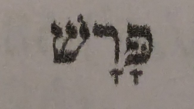term image