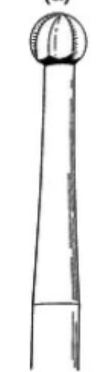<p>bur type </p>