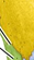<p>What is the name of this bone in the skull?</p>
