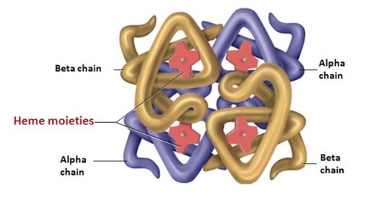 <p>have another molecule in their quaternary structure</p><p>ex: hemoglobin (has iron!)</p>