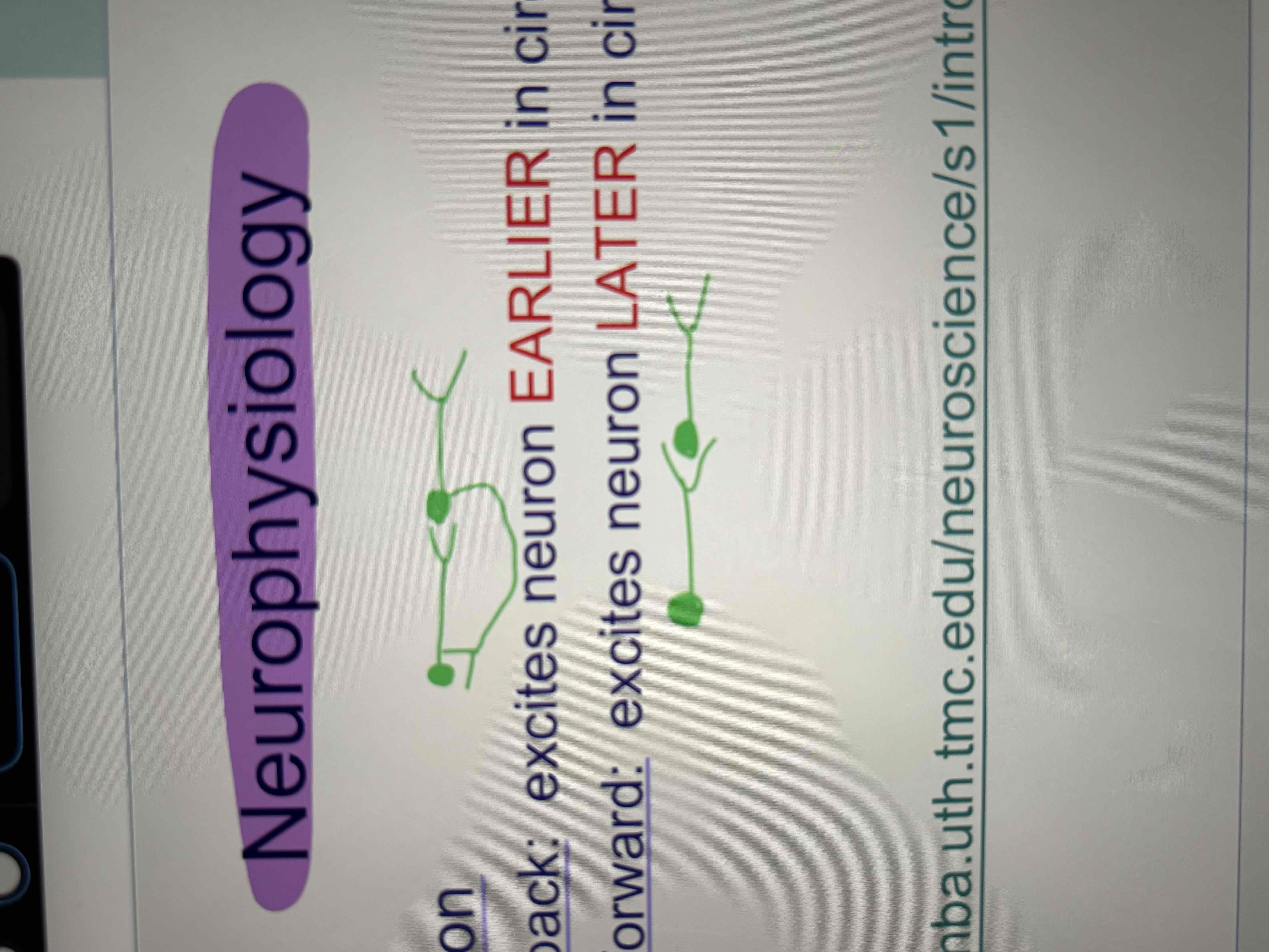 <ul><li><p>Feedback: excites neuron EARLIER in circuit</p></li><li><p>Feedforward: excites neuron LATER in circuit </p></li></ul><p></p>
