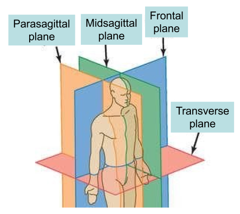 <p>off centered (parallel)</p>