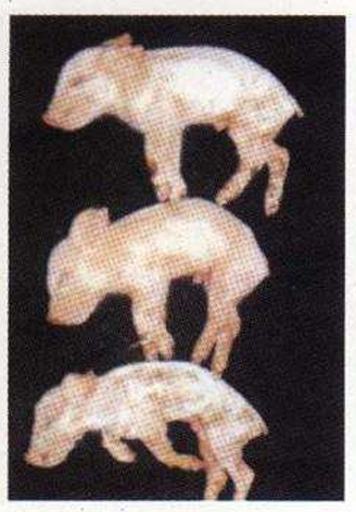 <p>?</p>