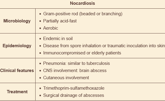 <p>nocardia</p><p></p>
