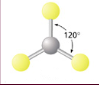 <ul><li><p>AB<sub>3</sub></p></li><li><p>120 degrees</p></li><li><p>Electron domain geometry: trigonal planar</p></li><li><p>5 fundamental domain arrangements</p></li></ul>