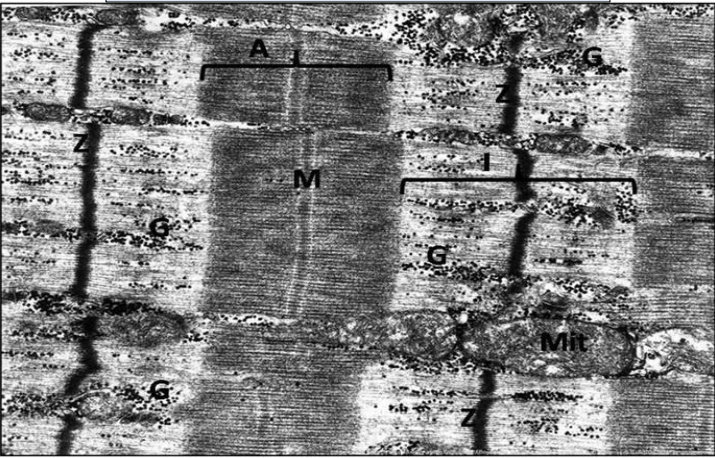 <p>THIS PHOTO IS REPRESENTING</p>