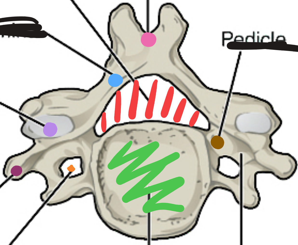 <p>What is the red area?</p>