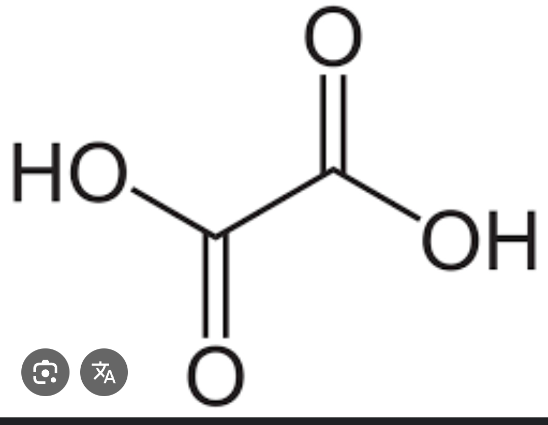 <p>What structure is this showing?</p>