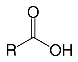 <p>Carboxylic Acids </p>