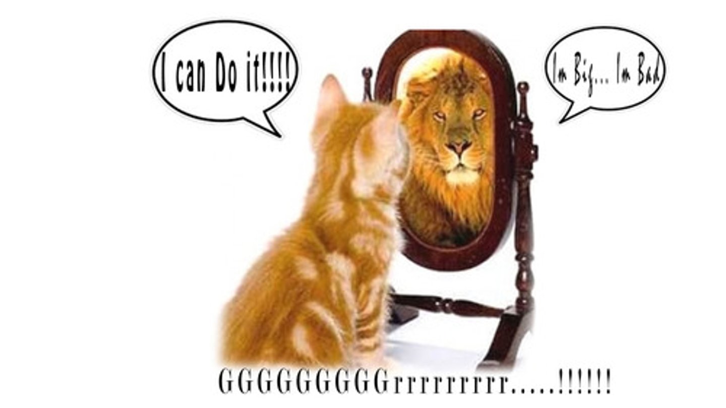 <p>you believe in yourself, you think you can do something well</p>