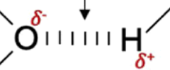 <p>A <strong>polar</strong> bond between hydrogen and another atom</p>