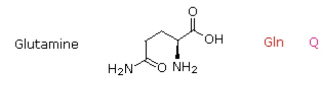<p>Gln, Q</p>