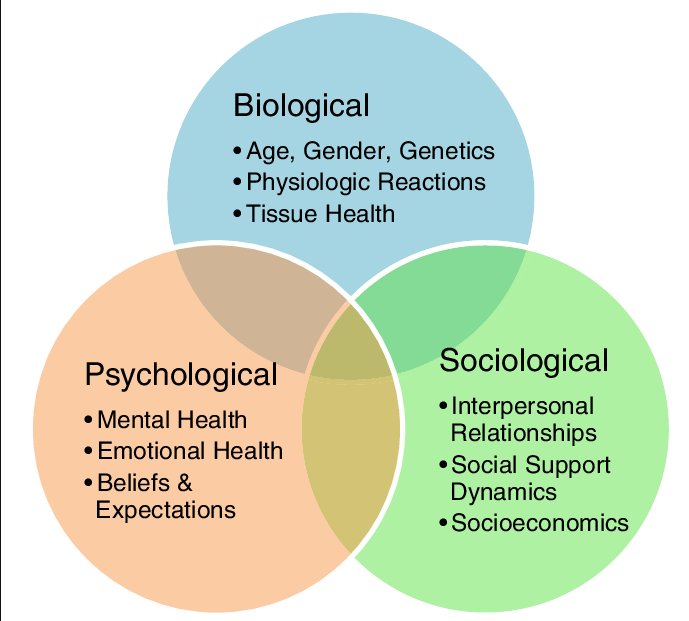<p>a model of health that integrates the effects of biological, behavioral, and social factors on health and illness</p>