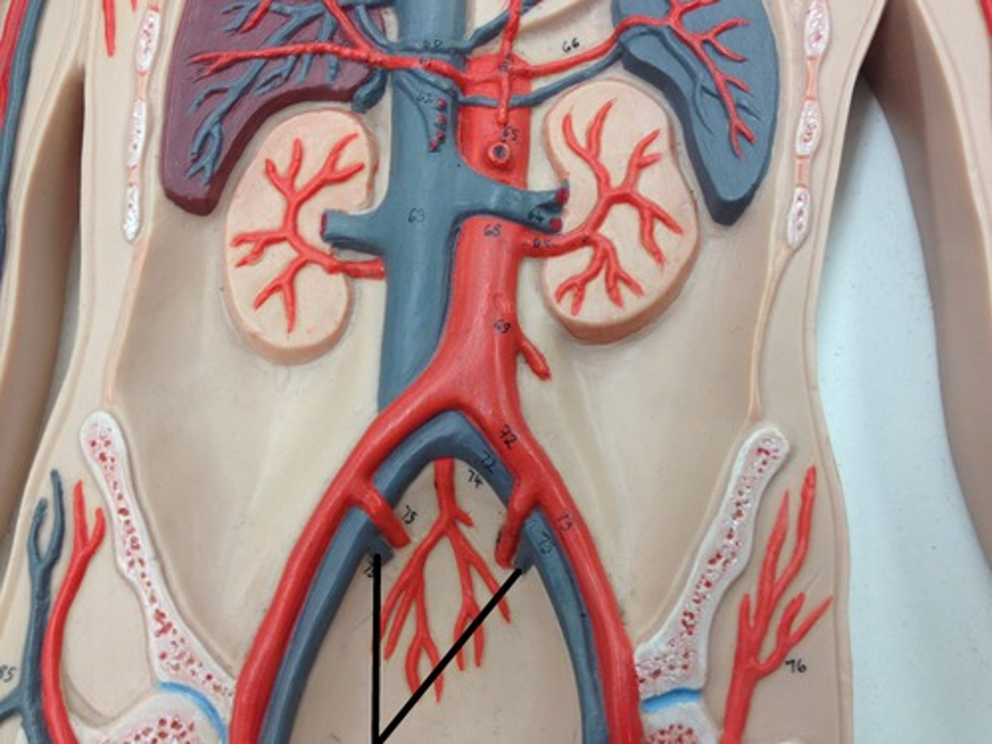 <p>What structure?</p>