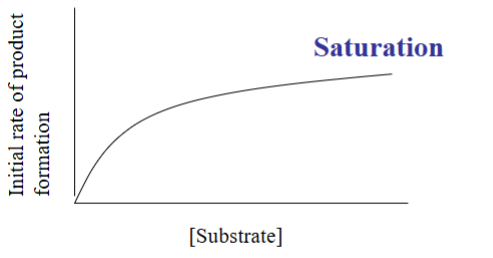 <p>Initial Reaction Velocity vs. [Substrate]</p><ul><li><p>As [Substrate] ________ ______ some value, rate of product formed ______ ______</p></li></ul><p></p>