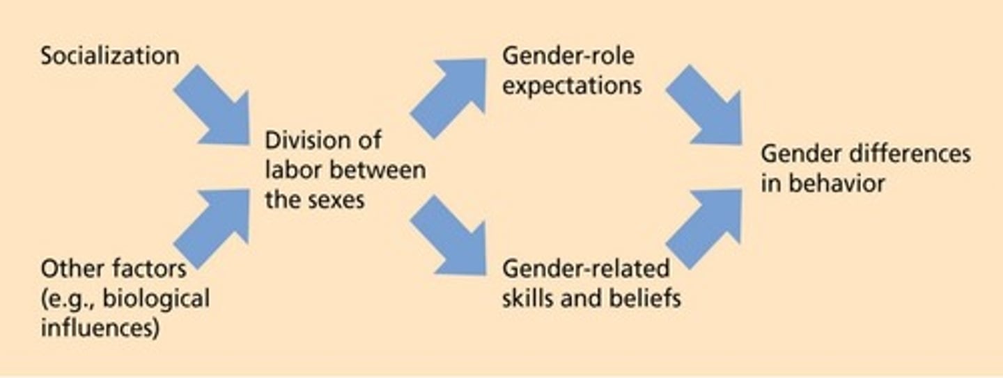 <p>- proposed that when there is a mismatch between the stereotype regarding someone's social group (e.g., female stereotype) and the value of their success in another social role (e.g., leadership), prejudice arises. That is, it is as if there is some exclusivity regarding one's social group; one cannot belong simultaneously to two different (stereotypically conflicting) groups.</p>