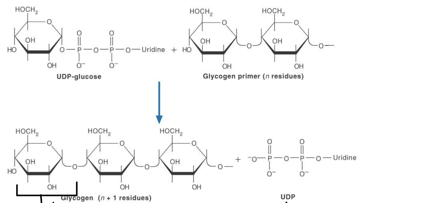 what is happening here?