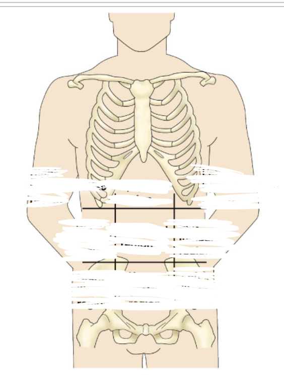 Abdominopelvic Regions