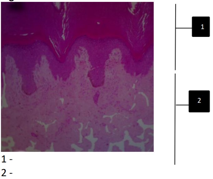 <p>Label all parts</p>