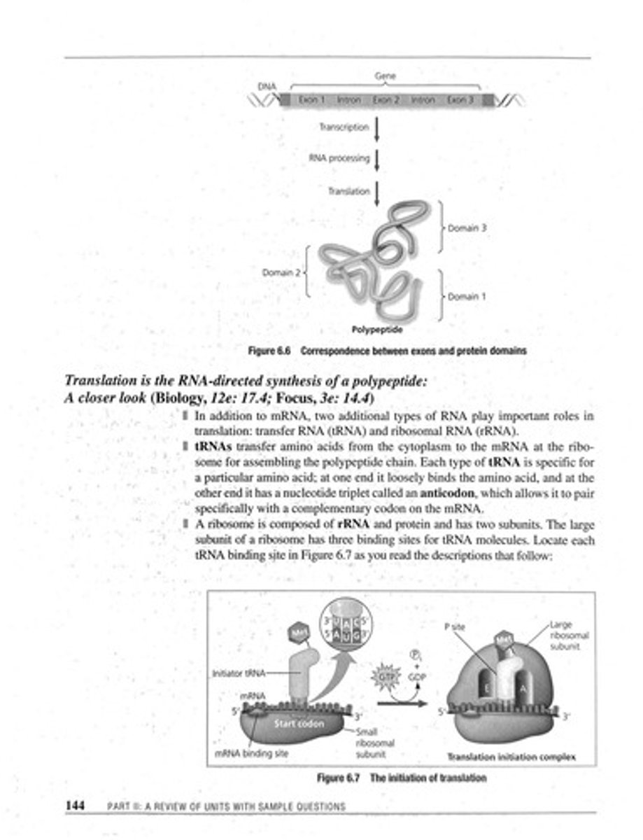 <p>Distinct functional regions within proteins.</p>