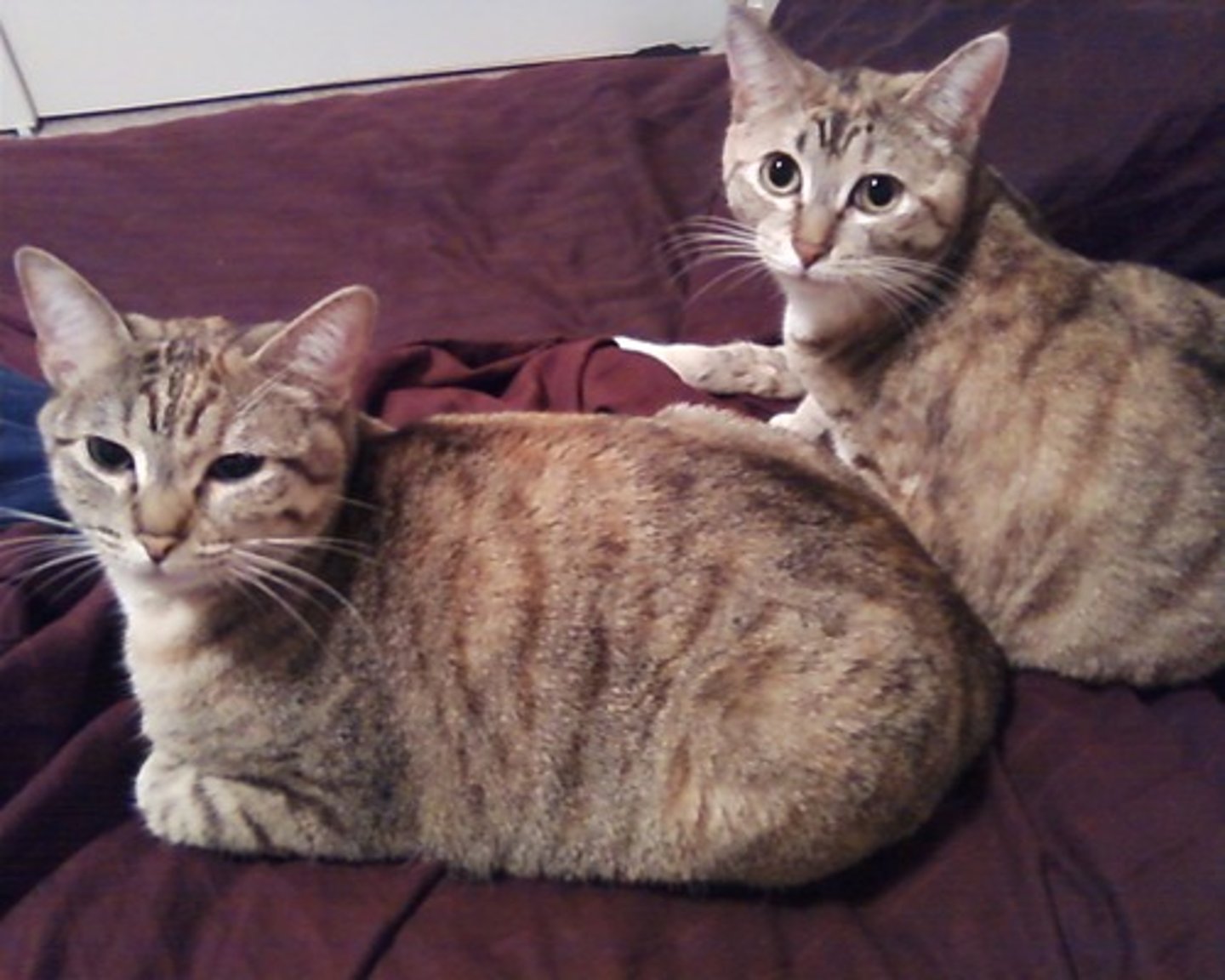 <p>They go to bed.</p>