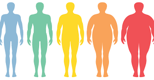 <p>obesity(sự béo phì)</p>