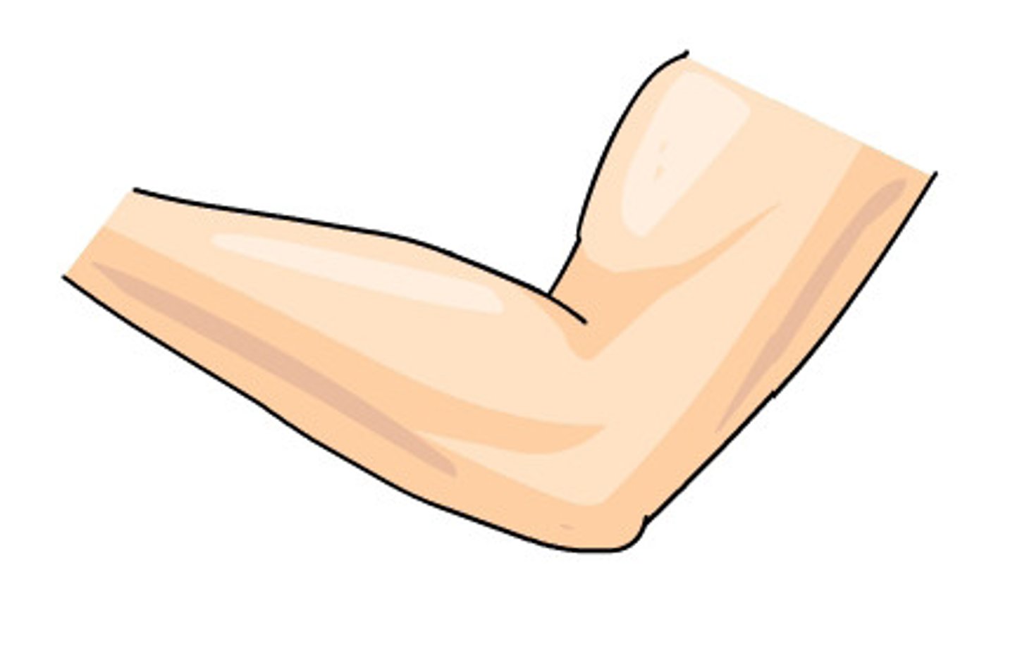 <p>gēbo - cánh tay</p>