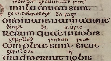 <ul><li><p>two different letter forms for r - majuscule R shown in image, minuscule r similar to the half-uncial n</p></li><li><p>majuscule N has a crossbar at the bottom of the two vertical ascenders </p></li><li><p>S is very similar to its modern letter form, and the long s appears </p></li><li><p>flat-topped t </p></li><li><p>d has two forms: one with a an upright and the other with a back-sloping ascender </p></li><li><p>strong wedging at the top of ascenders </p></li></ul><p></p>