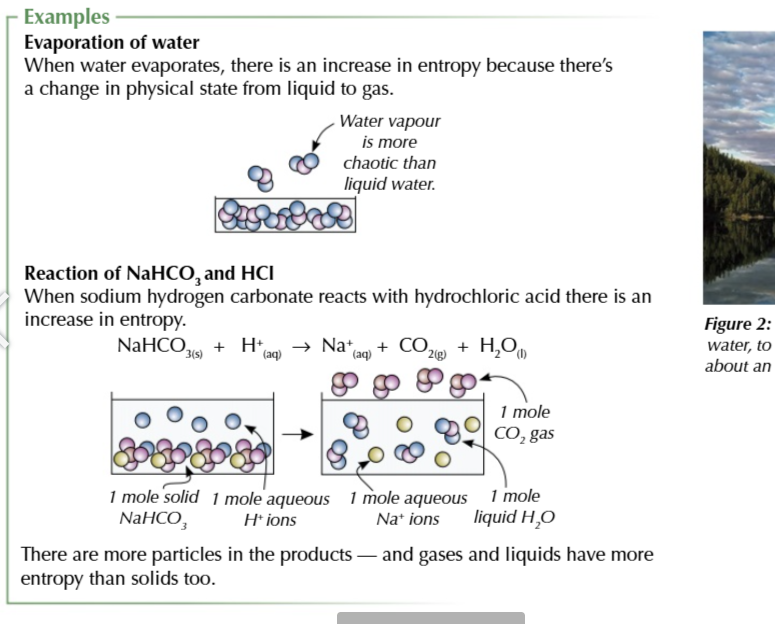 <p>more particles means more entropy</p>