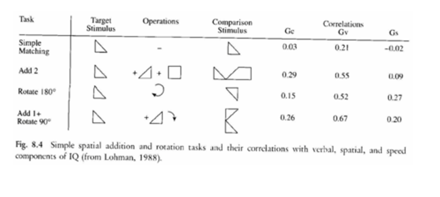 <p>Gc = crystallized intelligentie</p><p>Gv = visueel-ruimtelijke intelligentie</p><p>Gs = verwerkingssnelheid (speed)</p><p>conclusie: hoe complexer de visueel-ruimtelijke taak (zoals combineren + draaien), hoe sterker de relatie met ruimtelijke intelligentie (Gv)</p><p>ook positive manifold: naarmate taken complexer worden op één domein gaat het meer correleren met andere domeinen</p>