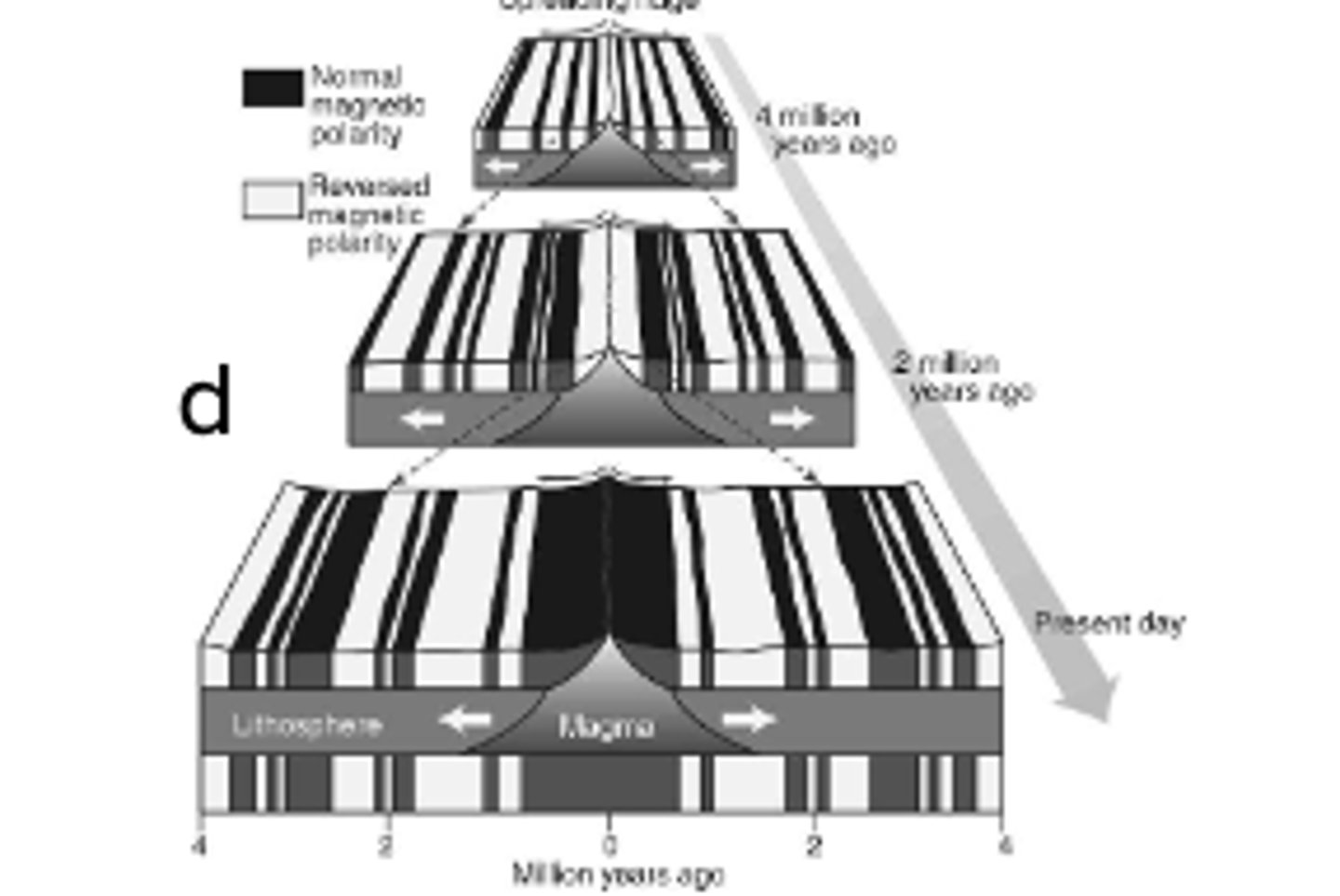 <p>-Their work looks at the patterns of magnetic stripes on the ocean floor. There is a symmetrical pattern of stripes indicating that the Earth's magnetic field is switching direction over time</p><p>-Vines and Matthews noticed there was a symmetrical pattern of magnetic striped, this proves mid-ocean ridges are created</p>