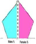 <p>What stage of the DTM is this?</p>