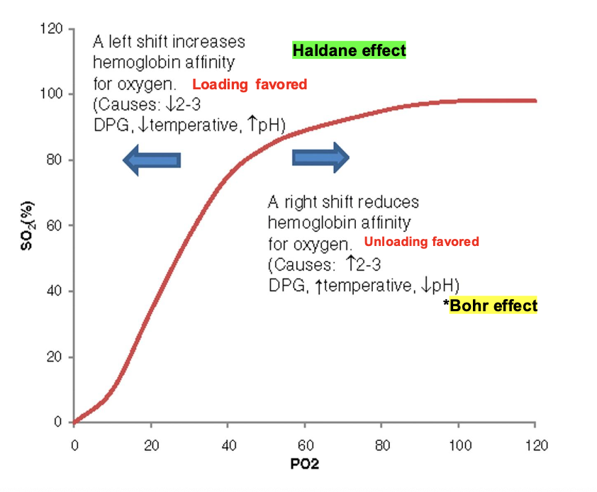 <p>What is this?</p>