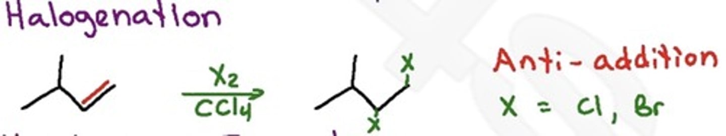 <p>Anti addition (bonds form in separate steps)</p><p>forms via cyclic bromonium ion</p><p>X2 in DCM</p>