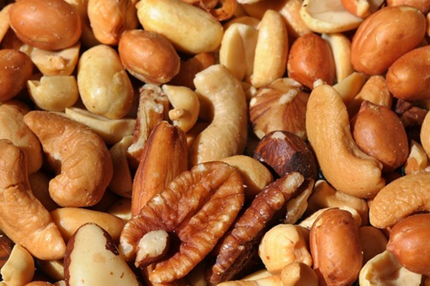 <p>nuts</p>