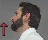 <p>moving body part in superior direction (upward)</p>