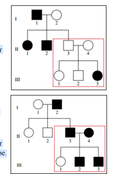 <p>Autosomal Recessive</p><p>Likely if two parents DON’T have a particular phenotype, but one or more of</p><p>their offspring DOES.</p><p>EXPLANATION: Both parents (II-3 and II-4) contribute one allele each to their</p><p>offspring III-3, so both parents must carry the allele responsible for the trait.</p><p>Since the parents are both unaffected, both must be heterozygous. The trait is</p><p>therefore autosomal recessive.</p><p>Autosomal Dominant</p><p>Likely if BOTH parents SHOW the trait, but one or more of their offspring DO</p><p>NOT show the trait.</p><p>EXPLANATION: Both parents (II-3 and II-4) contribute one allele each to their</p><p>offspring III-1, so both parents must carry the allele for the unaffected phenotype.</p><p>Since the parents are both affected, both must be heterozygous. The trait is</p><p>therefore autosomal dominant.</p><p>NOTE: III-1 must have two recessive alleles as they do not have the trait, parents must be heterozygous.</p><p>Look for parents that are the SAME with a kid who is DIFFERENT</p><p></p>