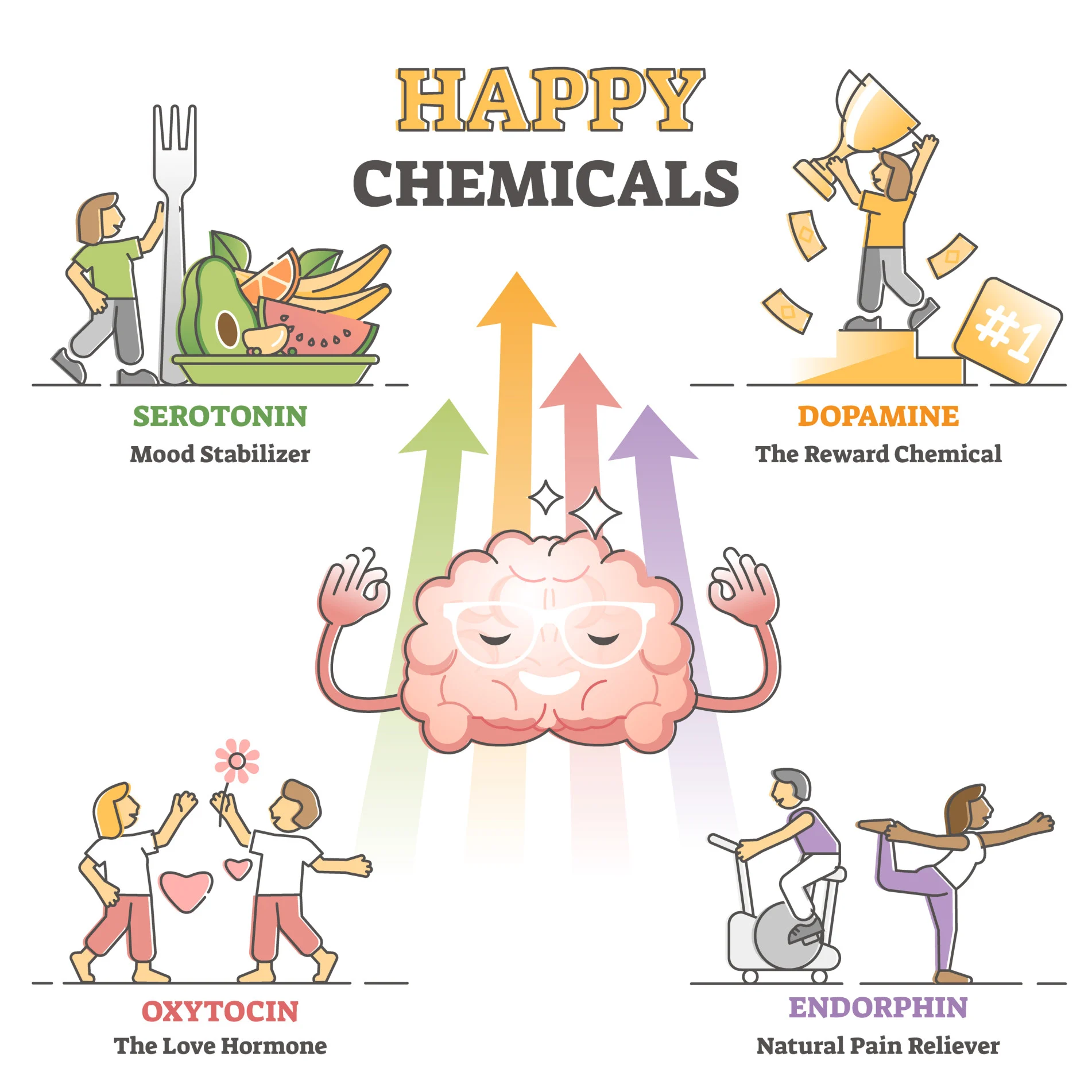 <p>“The love hormone” produced in the hypothalamus and released by the pituitary gland. It functions to facilitate childbirth by increasing uterine contractions and the production of milk. It also fosters the bond between the mom and baby</p>