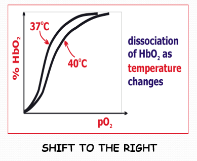<p>how does blood temperature affect dissociation</p>