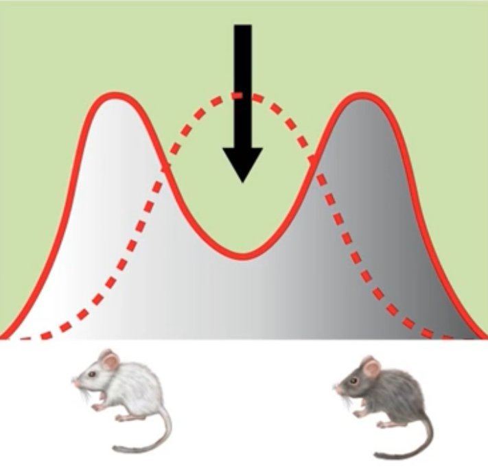 <p>Disruptive</p>