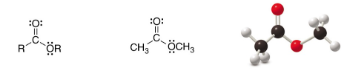 <p>SP<sup>2</sup> Carbon</p>