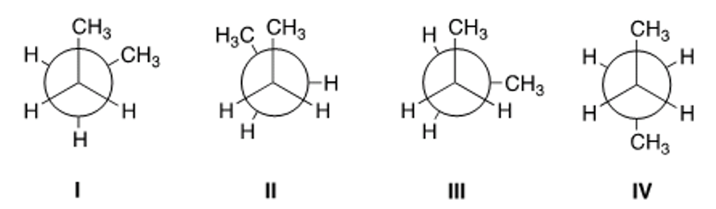 <p>B</p>
