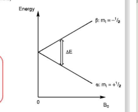 <p>Energy levels become degenerate </p><img src="blob:chrome-untrusted://media-app/3dd9b757-295c-4648-b318-47e4d7d18f00" data-width="100%" data-align="center" alt="Screenshot 2025-10-05 01.34.51.png"><p></p>